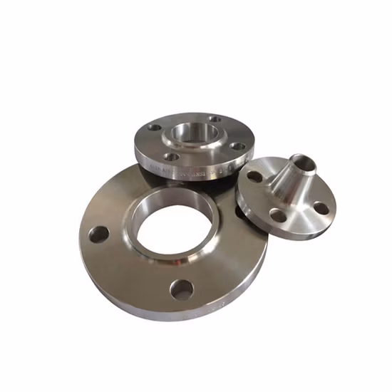 JIS Standard DN25 10K SS304 Stainless Steel Plate Flange