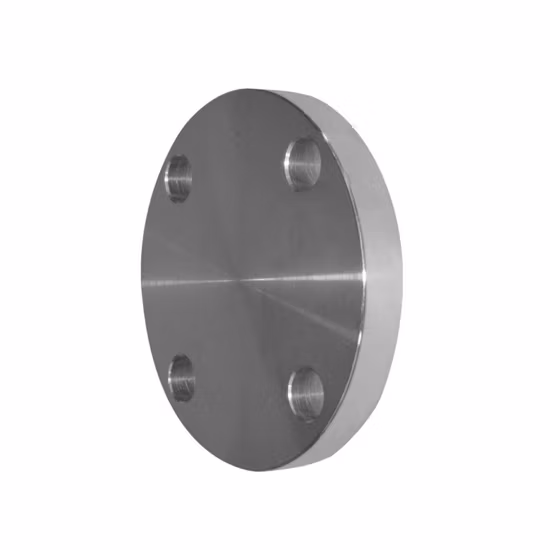 Pipe Fitting Stainless Steel/Carbon Steel A105 Forged/Flat/Slip-on/Orifice/ Lap Joint/Soket Weld/Blind /Butt Welding Neck Flanges