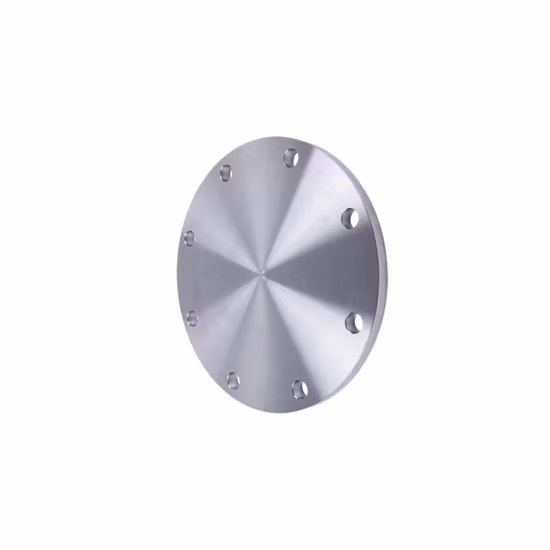 Pipe Fitting Stainless Steel/Carbon Steel A105 Forged/Flat/Slip-on/Orifice/ Lap Joint/Soket Weld/Blind /Butt Welding Neck Flanges