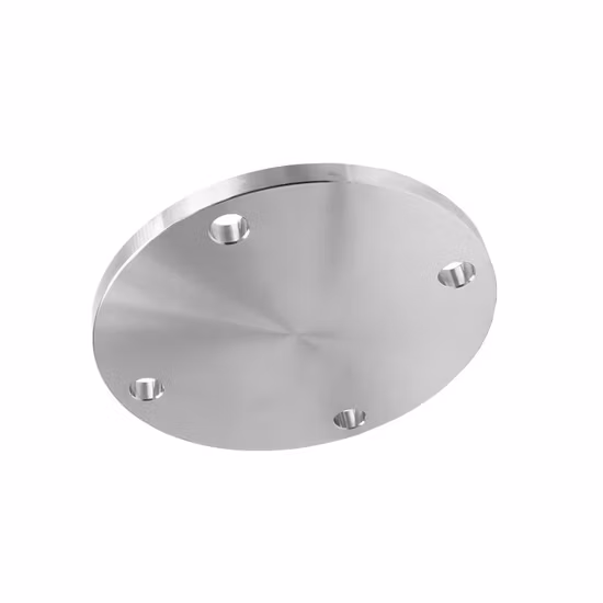 Pipe Fitting Stainless Steel/Carbon Steel A105 Forged/Flat/Slip-on/Orifice/ Lap Joint/Soket Weld/Blind /Butt Welding Neck Flanges